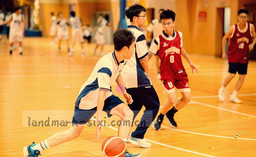 阳光穿过书页，指尖轻抚文字。